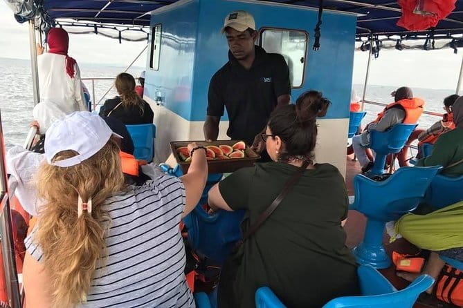 Colombo to Galle All Inclusive Private Day Tour - Kosgoda Sea Turtle Conservation Project: Hatchery Visit With Purpose