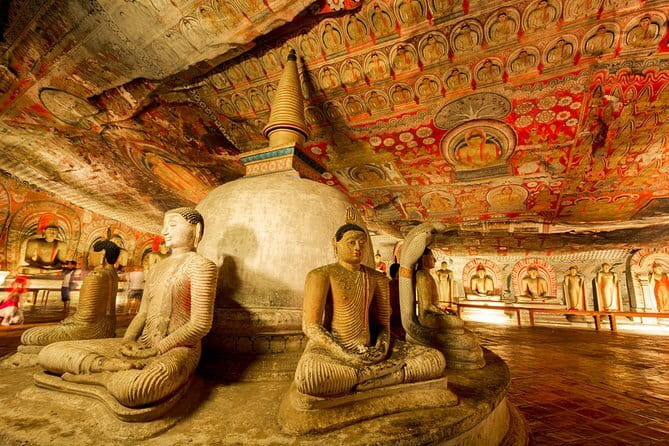 Colombo to Kandy Shuttle with Dambulla Sightseeing Tour - Price and logistics: what $100 really buys you