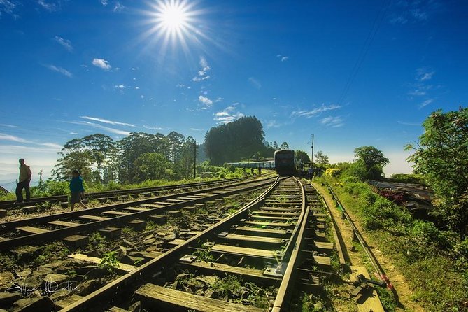 Colombo to Kandy Train Tickets (Reserved Seats) - The Ride Itself: Tea Estates, Villages, and Jungle Country Views