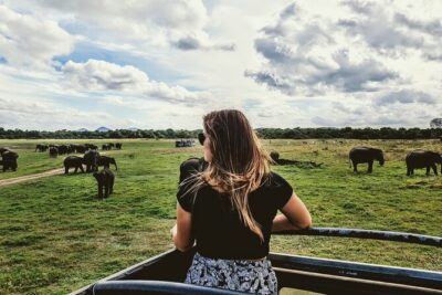 Colombo to Trincomalee Shuttle & Safari Drive - Minneriya National Park: where elephants love to show up