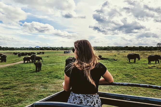 Colombo to Trincomalee Shuttle & Safari Drive - Minneriya National Park: where elephants love to show up