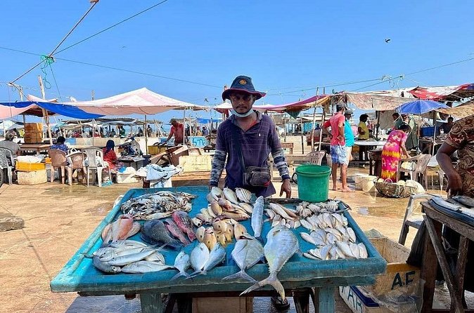 Cooking Class and Market Visit in Negombo - Negombo Vegetable Market: Where You Learn to Shop Like a Local