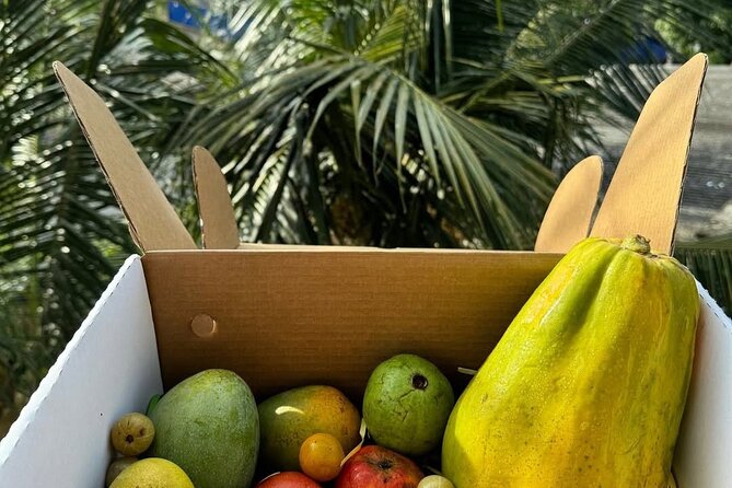 Cooking Class and Market Visit in Negombo - The 3-Hour Rhythm: Pickup Windows and a Realistic Time Plan