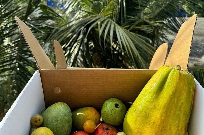 Cooking Class and Market Visit in Negombo - Should You Book This Negombo Cooking Class?