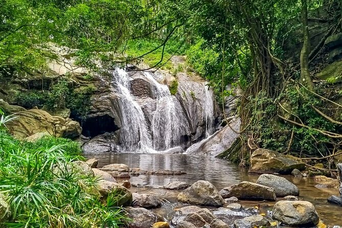 Customized Multi-Day Private Tour Packages in Sri Lanka - Day 3: Tea factory at Damro Labookellie, then waterfalls and cool Nuwara Eliya air