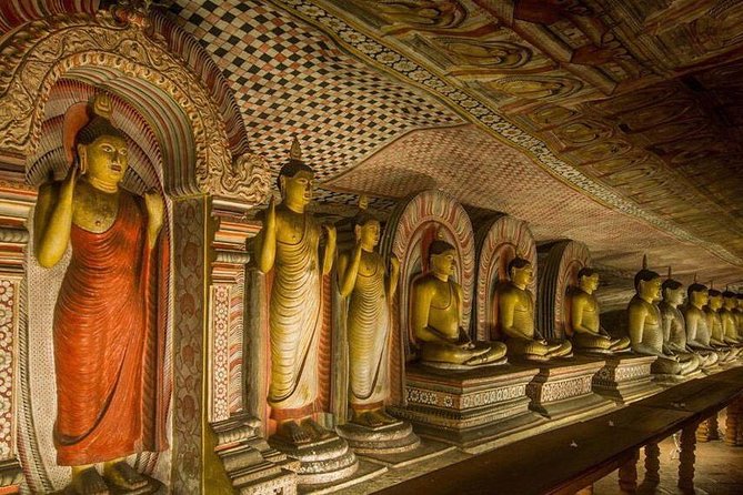 Dambulla & Sigiriya Day Tour from Colombo / Negombo with Lunch - Stop 3: Minneriya National Park elephants and the safari cost reality