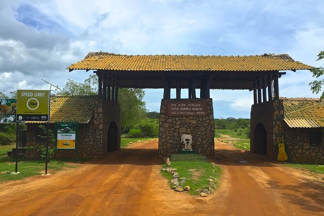 Day Excursion to Yala National Park From Colombo - Key Highlights You’ll Actually Care About