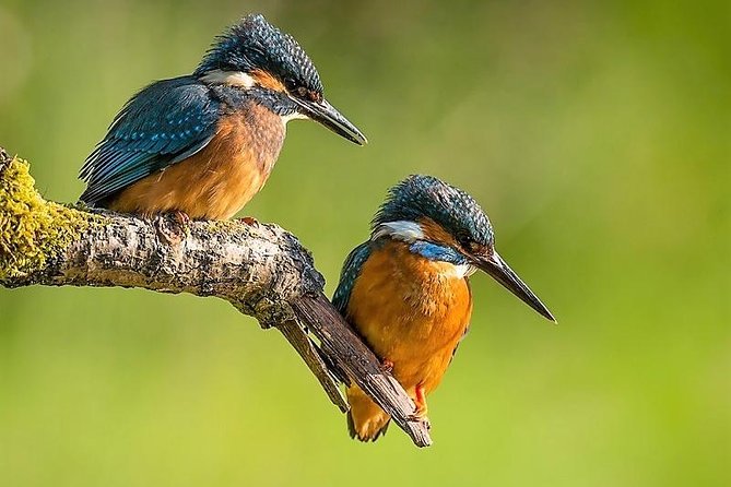 Day Tour to Anawilundawa Wetland Sanctuary - Key things I’d circle before you book
