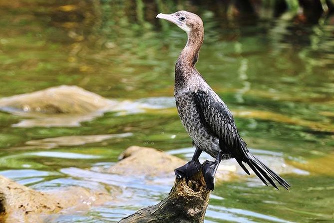 Day Tour to Anawilundawa Wetland Sanctuary - Why Anawilundawa is worth a full day