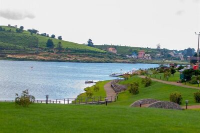 Day Tour to Nuwara Eliya from Kandy by Lux Tours Lanka - Price and logistics: $160 for a long, private day