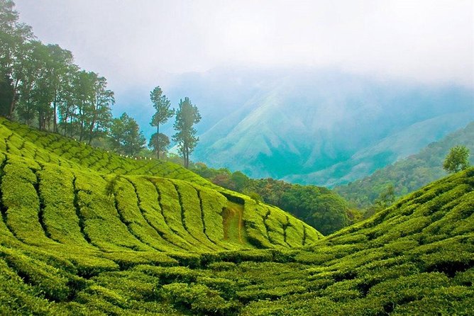 Day Tour to Nuwara Eliya from Kandy by Lux Tours Lanka - Stop 1: Gregory Lake and its pedal-boat fun (plus speedboat reality)