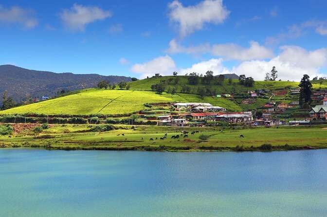 Day Trip to Nuwara Eliya with Kingfisher Tours - First thing at 7:30: the day’s rhythm from Colombo