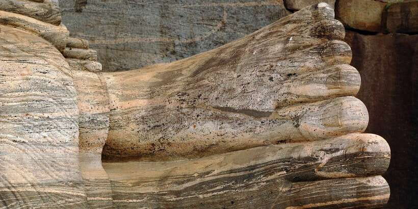 Day Trip to the Ancient Capital of Polonnaruwa From Colombo - Price and value: what you’re really paying for