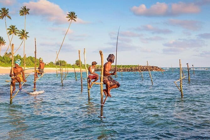 Day trips to Galle from colombo Visiting Its Highlights - Key highlights at a glance