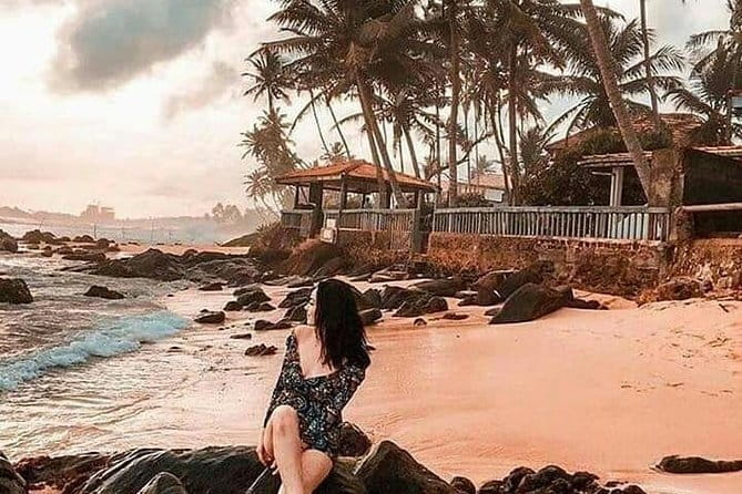 Day trips to Galle from colombo Visiting Its Highlights - Madu River mangroves by boat: nature stories plus a bit of action