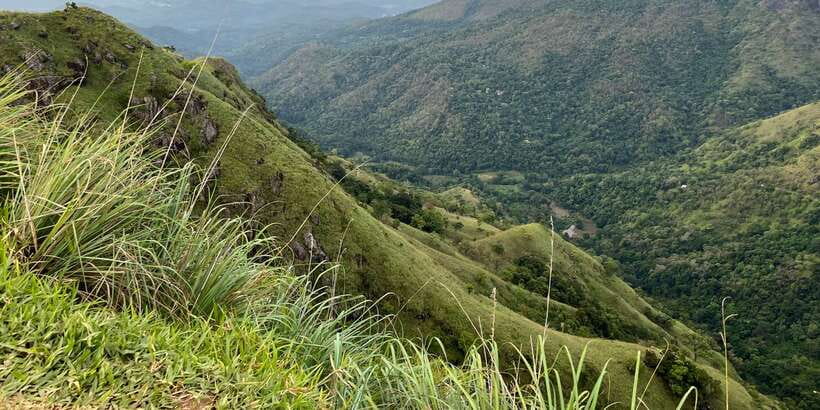 Ella: Tea Factory, Train, and Nine Arch Day Tour with Pickup - Zipline time at Flying Ravana Mega: the adrenaline check