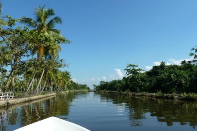Exclusive: Muthurajawela Bird Watching Tour with Transfers - Muthurajawela Marsh: Why This Wetland Bird Walk Feels Like the Real Sri Lanka