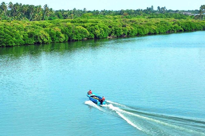Exclusive: Muthurajawela Bird Watching Tour with Transfers - Guide and Light Refreshments: The Human Touch That Makes It Make Sense