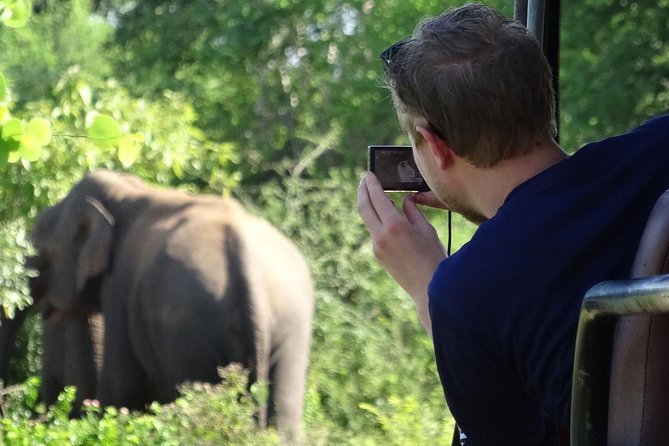 Exclusive : Overnight Leopard Safari with Luxury Glamping - Meals and drinks: built in, not just an afterthought
