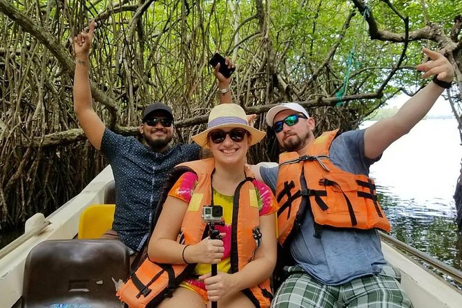 Exclusive: Southern Sri Lanka Sightseeing Private Day Trip - Guides, comfort, and English levels: your experience depends on your match