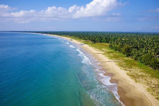 Explore Sigiriya, Kandy,Nuwaraeliya,Galle From Colombo - Peradeniya Royal Botanical Gardens: A Break Between Big Sights