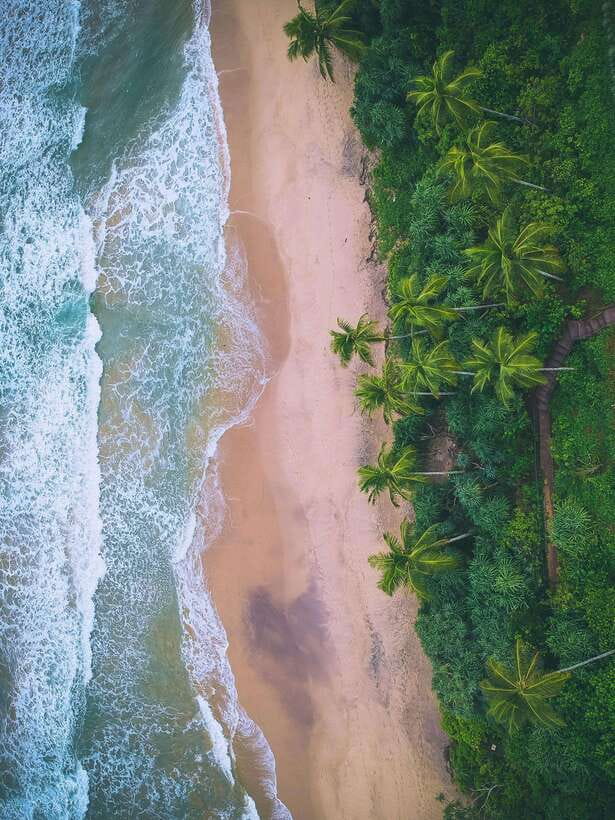 Explore the MAGIC of Sri Lanka in 7days -4 Star hotels Incl. - Quick hits: what I think matters most on this 7-day plan