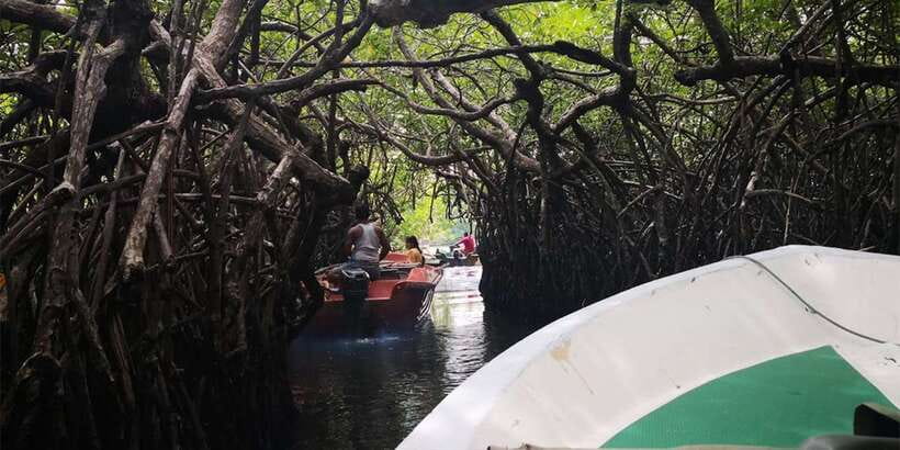 From Colombo: Handungoda, Galle, Ahangama, & Kosgoda Tour - Southern Coast In One Day: Why This 8-Hour Loop Makes Sense