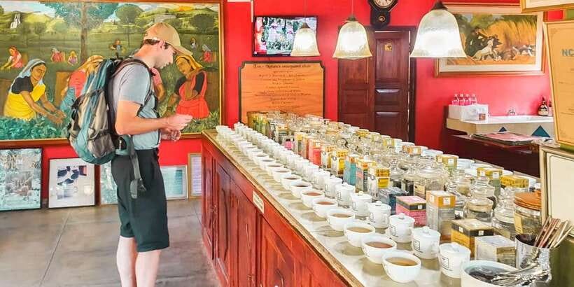 From Colombo: Handungoda, Galle, Ahangama, & Kosgoda Tour - Handunugoda Tea Factory: Seeing Virgin White Tea Made the Old Way