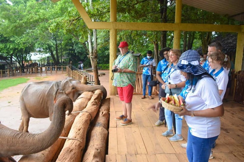 From Colombo: Kandy and Pinnawala Orphanage Short Excursions - Key highlights to know before you go