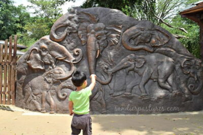 From Colombo: Kandy and Pinnawala Orphanage Short Excursions - Temple of the Tooth and Kandy crafts: faith plus serious artistry