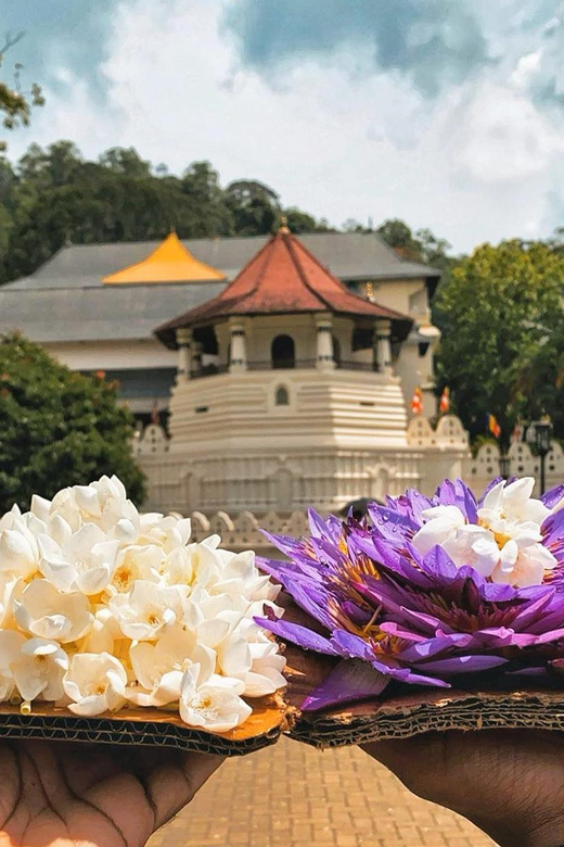 From Colombo: Kandy and Pinnawala Orphanage Short Excursions - Guide and driver reality check: when it’s great, and when it’s not