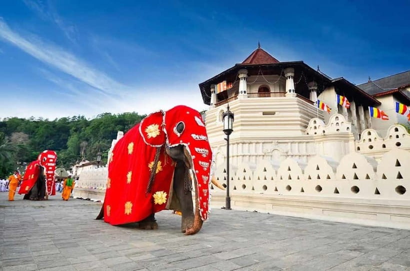 From Colombo: Kandy, Pinnawala and Tea Factory Full-Day Trip - Key highlights to know before you go
