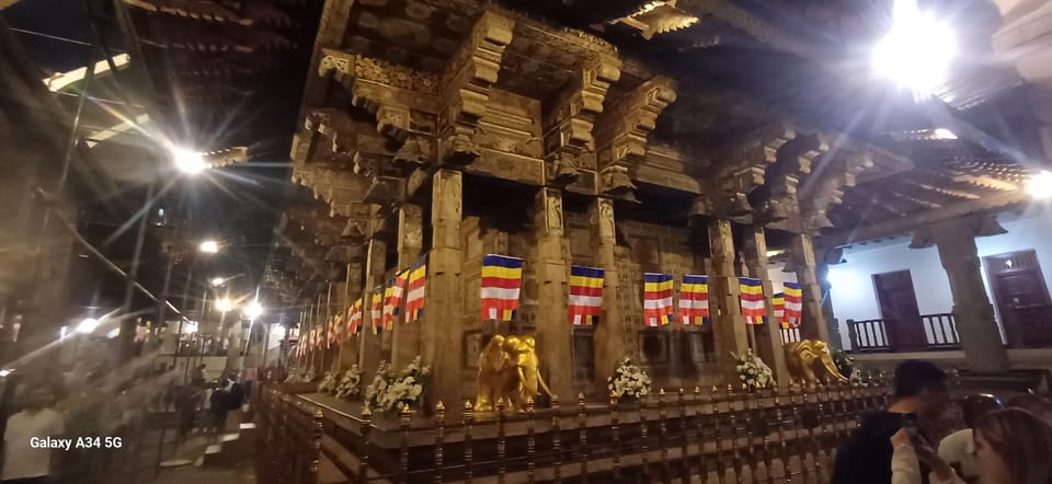 From Colombo: Kandy Temple of Tooth & Elephant Orphanage - Who Should Book This Tour, and Who Might Skip It