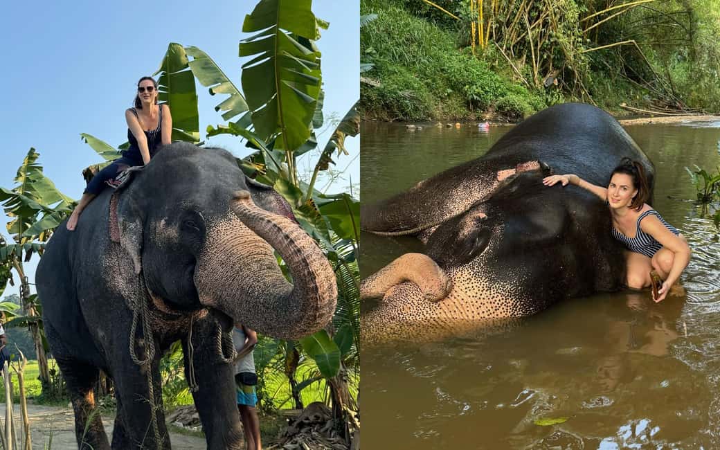 From Colombo: Kandy Temple of Tooth & Elephant Orphanage - Peradeniya Royal Botanical Gardens: A Smooth Start With Real Plant Variety