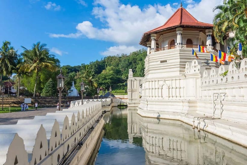 From Colombo: Pinnawala & Tea factory with Kandy Hotel Drop - Kadugannawa View: Quick Scenic Breathing Space
