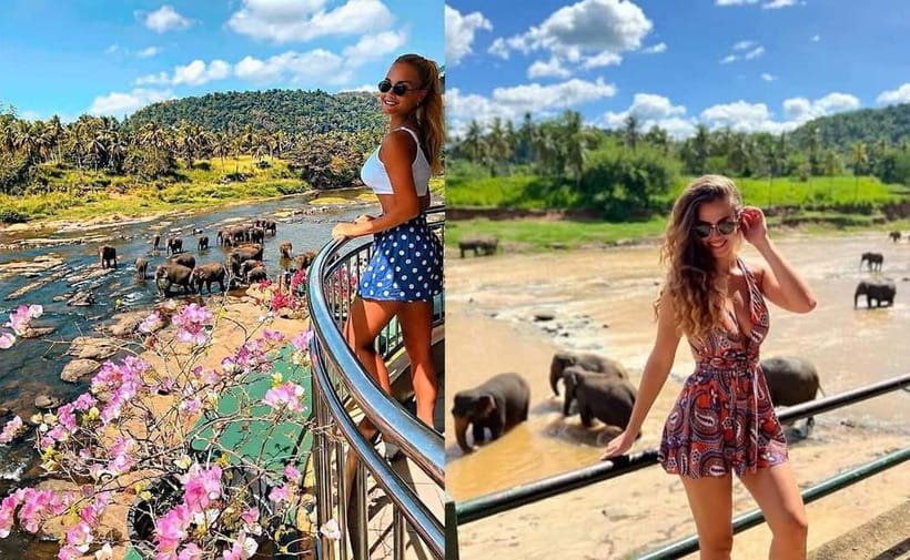 From Colombo: Pinnawala & Tea factory with Kandy Hotel Drop - Pinnawala Elephant Orphanage: The Most Memorable Part