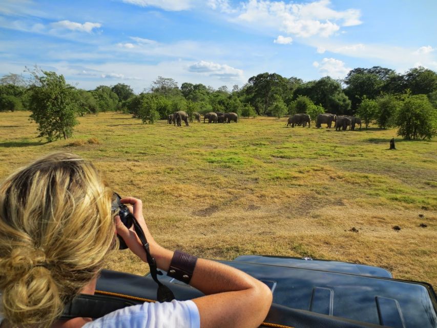 From Colombo: Private Minneriya National Park Day Safari - Lunch stop at a local restaurant: plan for an extra cost