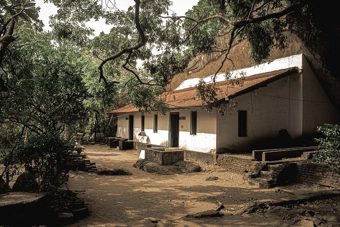From Colombo to Sigiriya Fortress, Dambulla & Minneriya Safari - Who this tour suits best