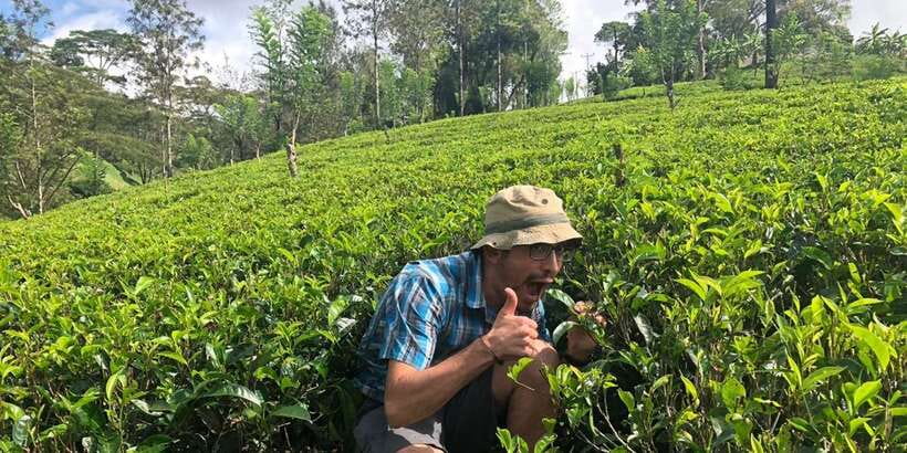 From Colombo: Virgin White Tea and Galle City Tour - Colombo Pickup at 8:00 AM: The Day Starts Easy