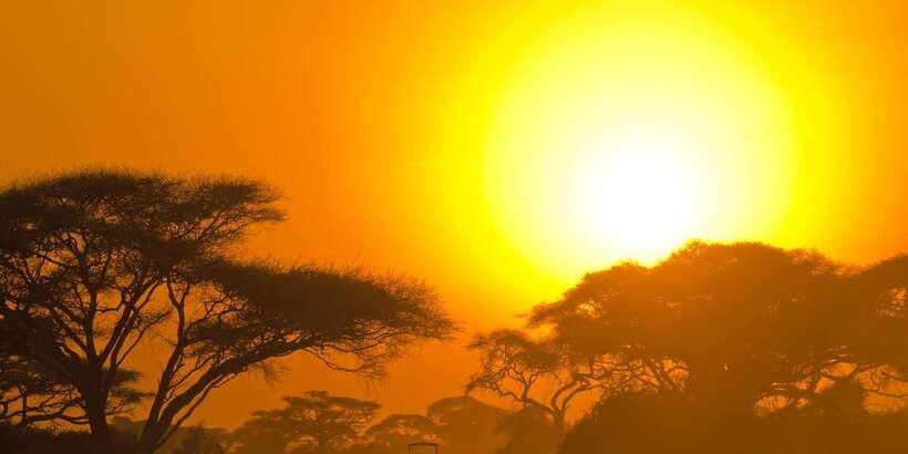 From Colombo: Yala National Park Safari with Transfer - Your jeep safari in Yala: how the wildlife-viewing usually unfolds
