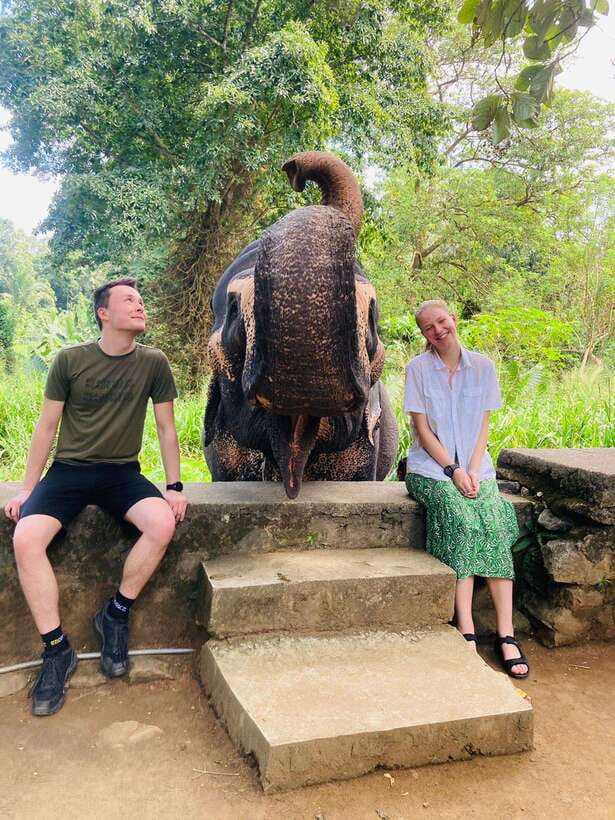 From Kandy : Pinnawala Elephant Orphanage & Ambuluwawa Tower - Royal Botanic Gardens, viewpoints, and quick photo breaks