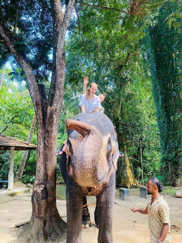 From Kandy : Pinnawala Elephant Orphanage & Ambuluwawa Tower - Ambuluwawa Tower for 360° views (and why the climb matters)