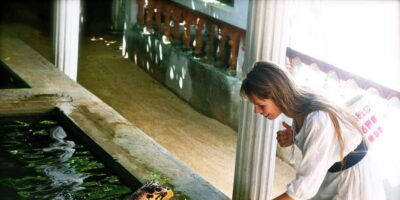 From Negombo: Bentota Full-Day Tour - The morning setup: pickup from Avengard Hotels and a Kosgoda turtle stop