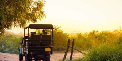 From Negombo: Minneriya National Park Safari Tour - A/C Shared Transfer to Minneriya: Why Comfort Actually Matters
