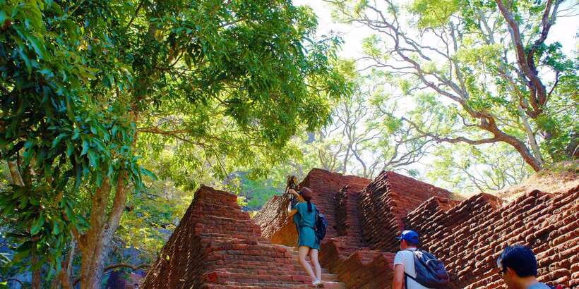From Negombo: Sigiriya and Dambulla Day Trip and Safari - A Long Day From Negombo That Moves Fast (But Makes Sense)