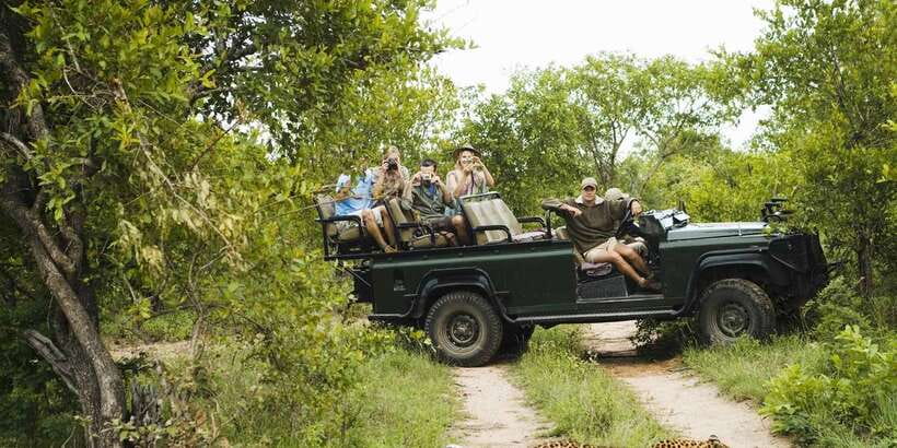 From Negombo: Wilpattu National Park Safari Guided Day Tour - Who this tour suits best