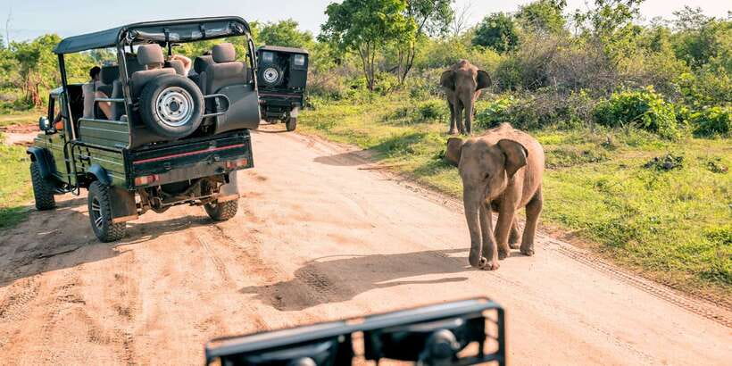From Western Province: 2-Day Hill Country Highlights Trip - Key points worth your attention