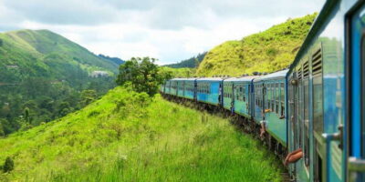 From Western Province: 2-Day Hill Country Highlights Trip - The safari reality check in Udawalawe