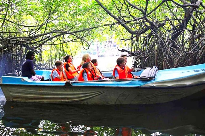 Galle Day Tour from Colombo or Negombo by Private Car , Van with Driver - The Morning Run: Bentota Beach and Water Sports (1 Hour)
