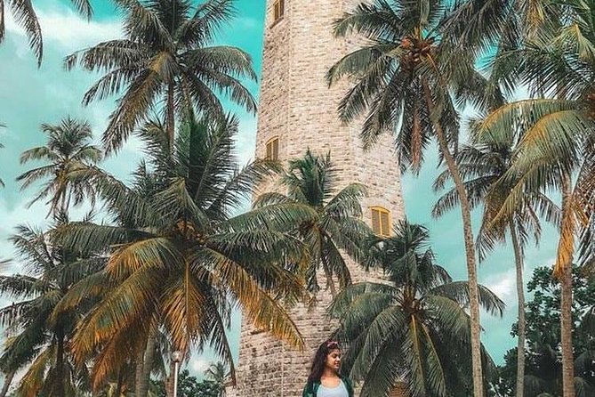 Galle Fort & Bentota Day Trip from Colombo - Sea Turtle Protection Association in Mahamodara: the stop that adds meaning